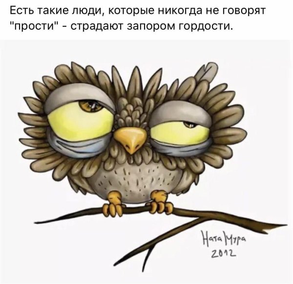 совы мультяшные прикольные