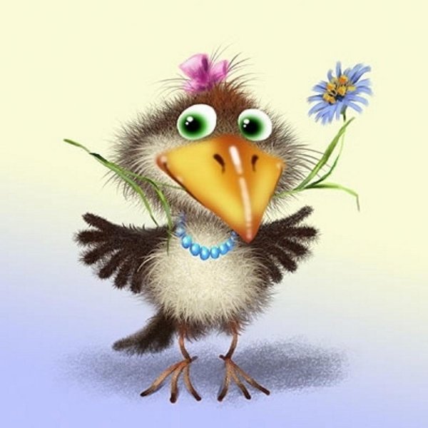 ворона каркуша