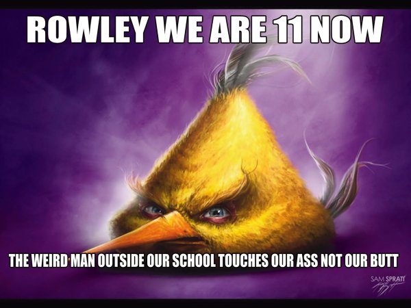 realistic angry birds