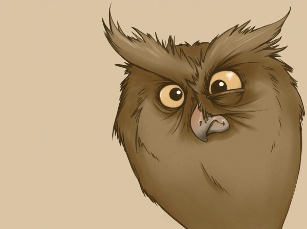 дергается глаз