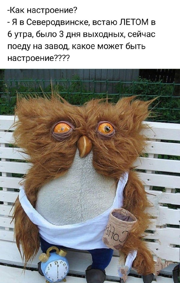 тяжелое утро