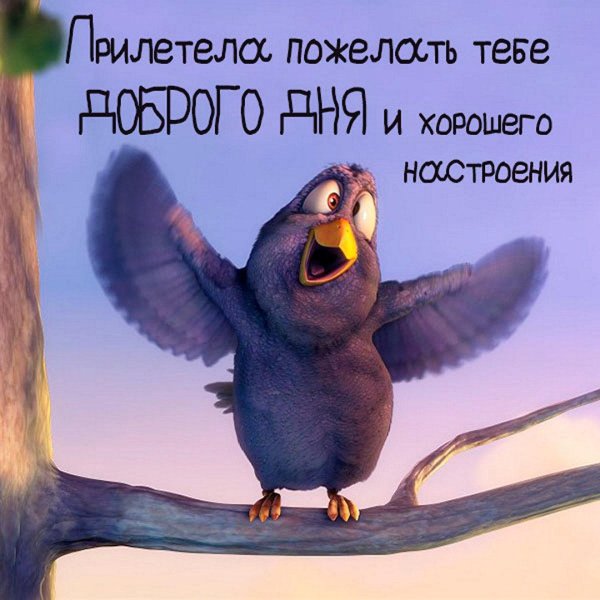 для поднятия настроения