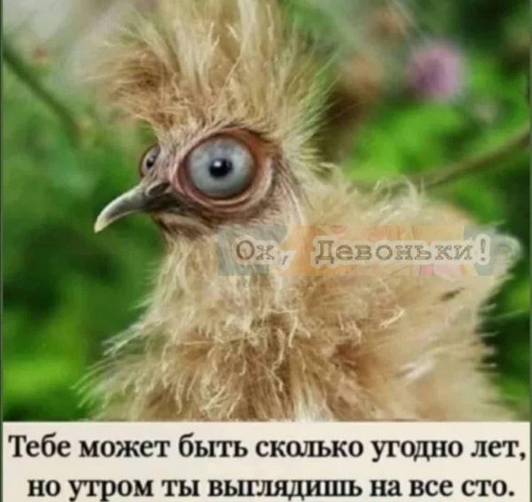 по утрам я вся такая иностранка