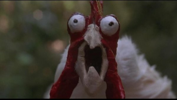 бешеные петухи