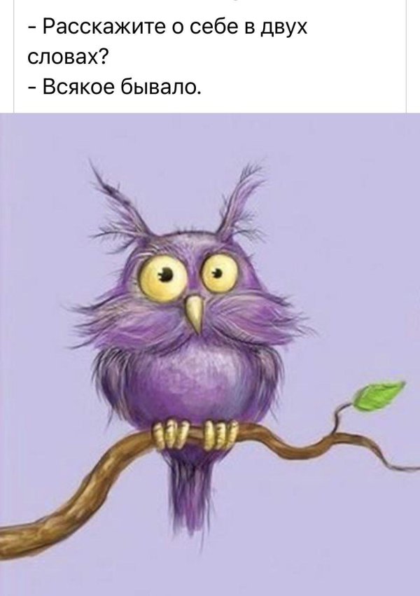 жаворонок смешной