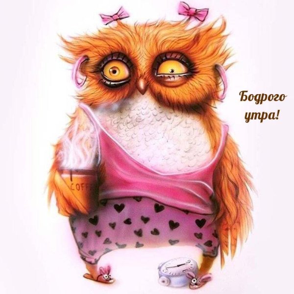 утро с юмором
