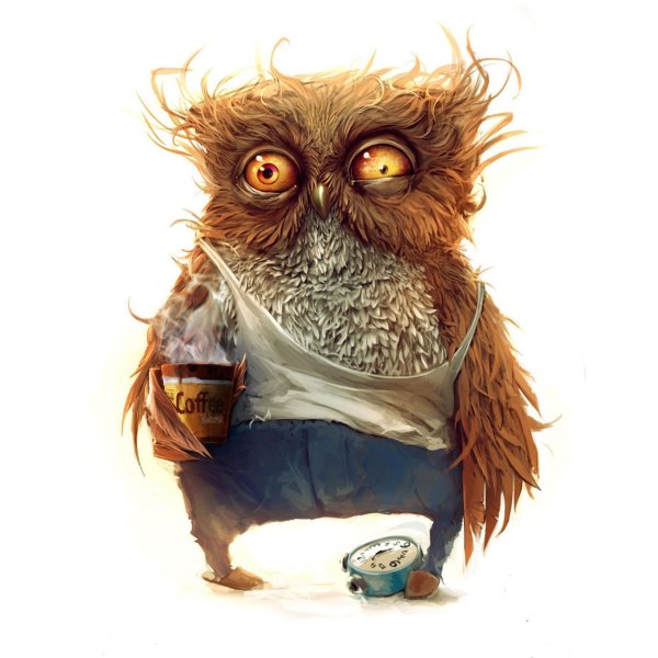 заспанная сова