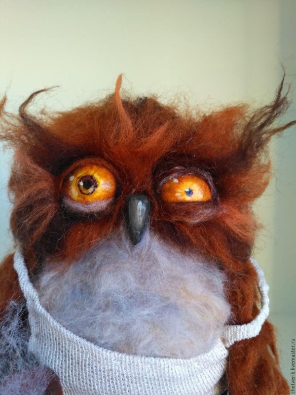 хмурая сова