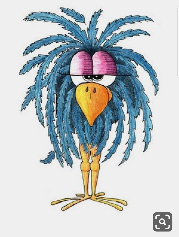 веселая птичка