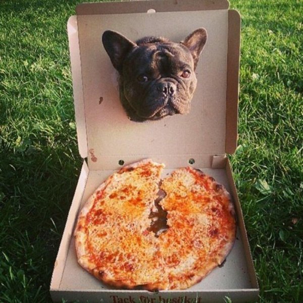 смешная пицца