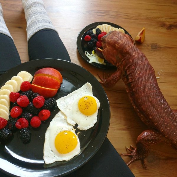 завтрак идеи