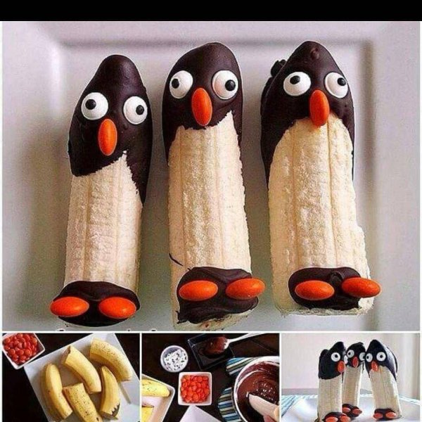 забавные пингвины