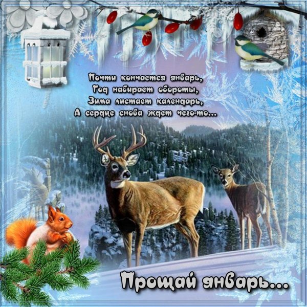 Прощай январь