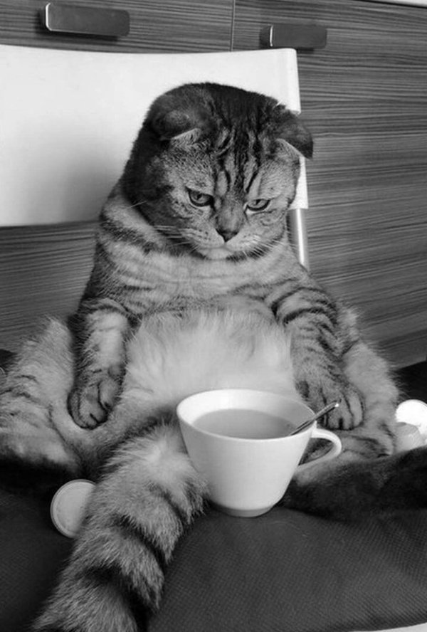 доброго утра смешное