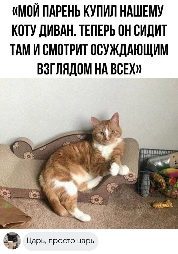 юмор смешной