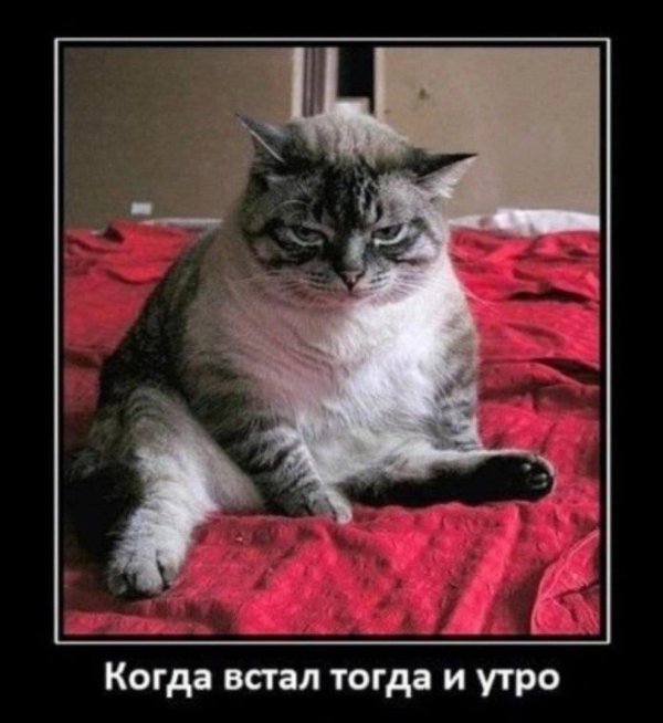 Я проснулся