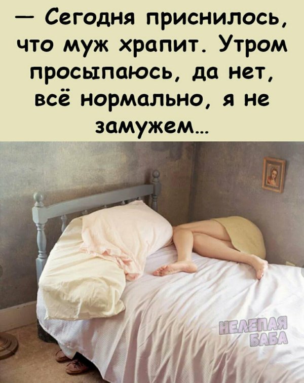 цитаты приколы