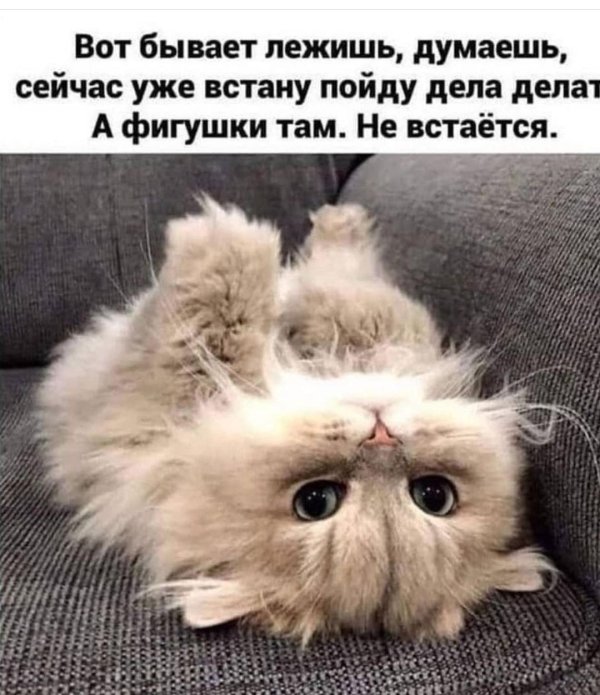 встала и пошла