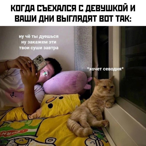 свежие мемы