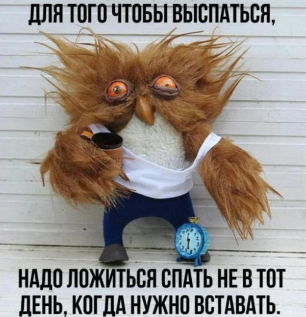 сова сонная