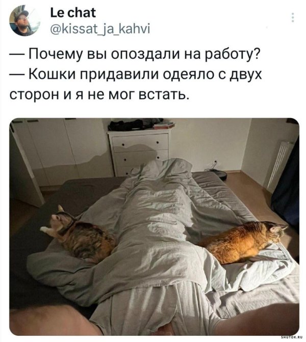 опаздываю на работу