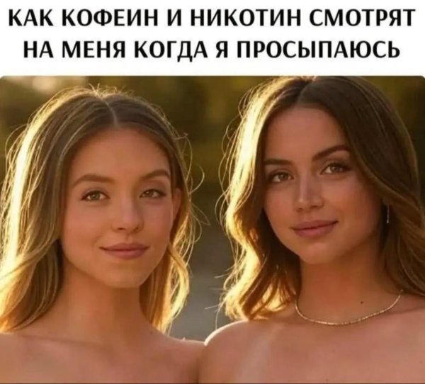 красивая знаменитость