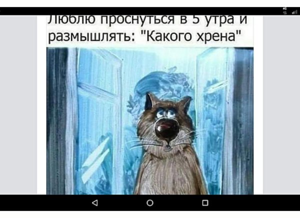 ярышкин анатолий художник коты