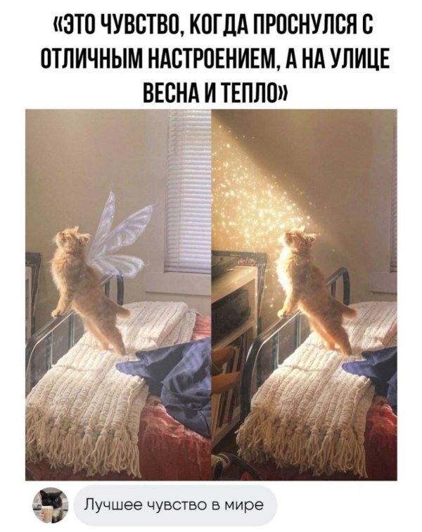 утренний позитив