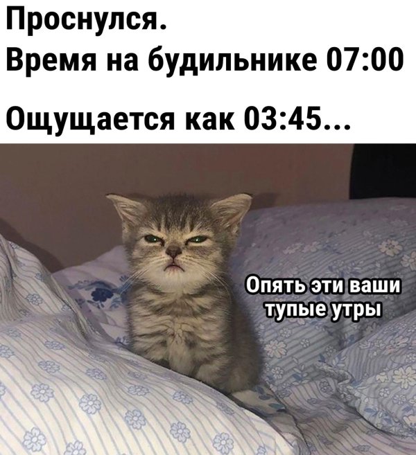 опять эти ваши утры