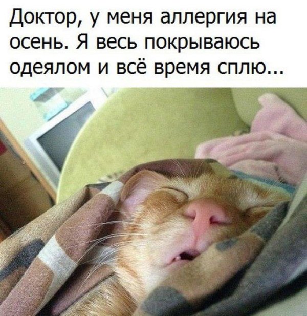 доктор у меня аллергия на весну я вся покрываюсь одеялом
