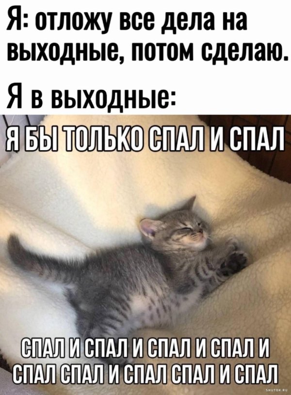 шутки и мемы