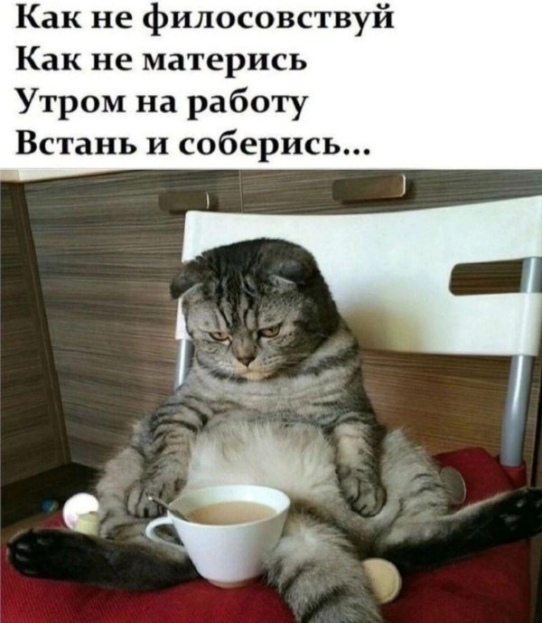 утром на работу