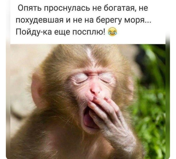 опять проснулась не богатая