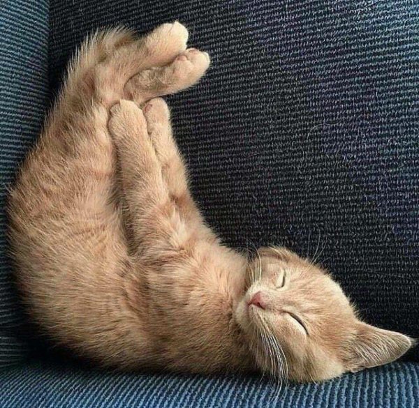 пожелание спокойной