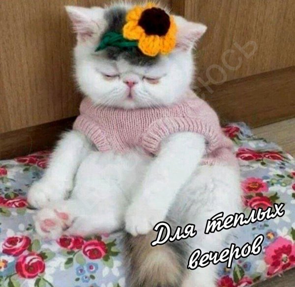 добрейшего утречка