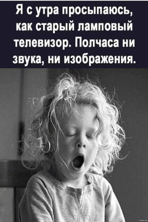 веселые цитаты