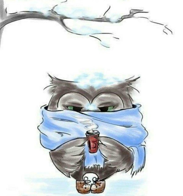 сова болеет