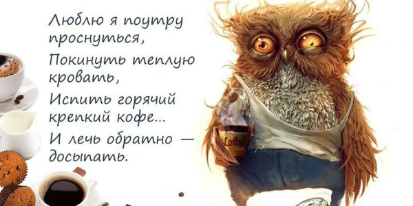 сонное утро приколы