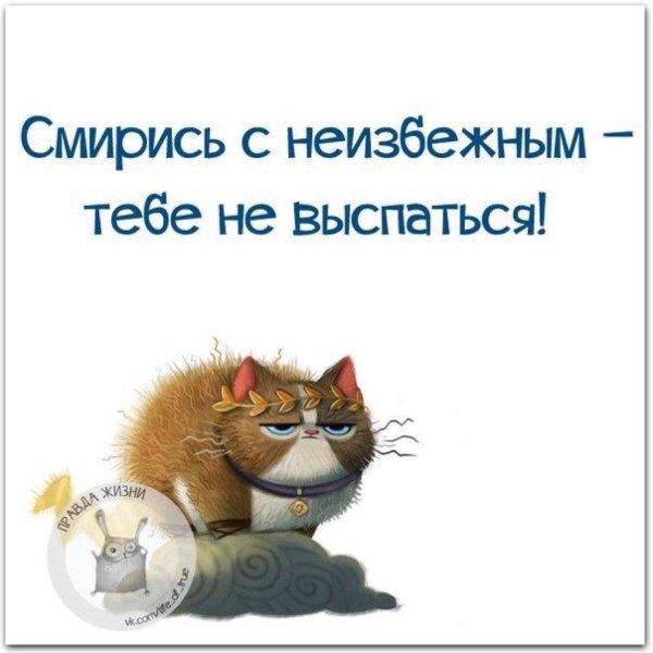 шутки про валерьянку