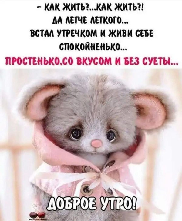 катя беспалова игрушки