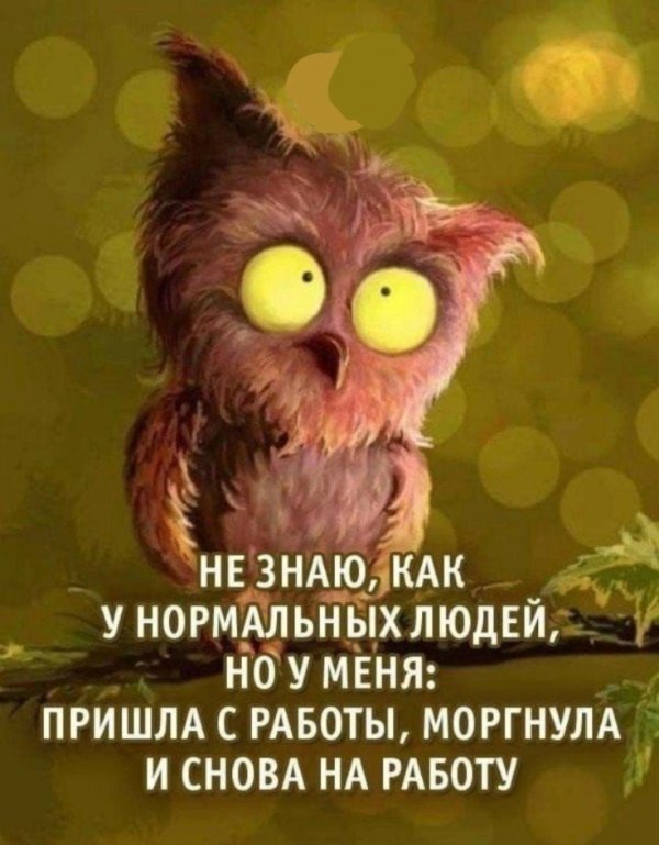 добрейшего утречка прикольные