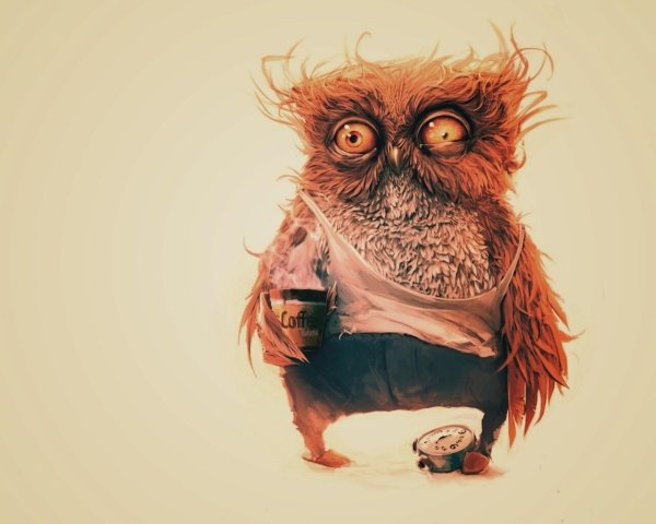 невыспавшийся совенок