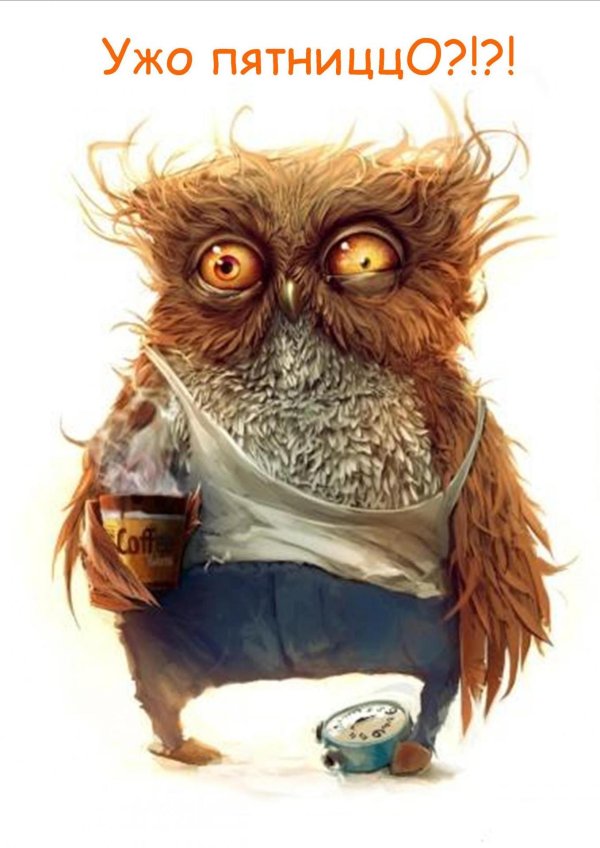 невыспавшийся совенок