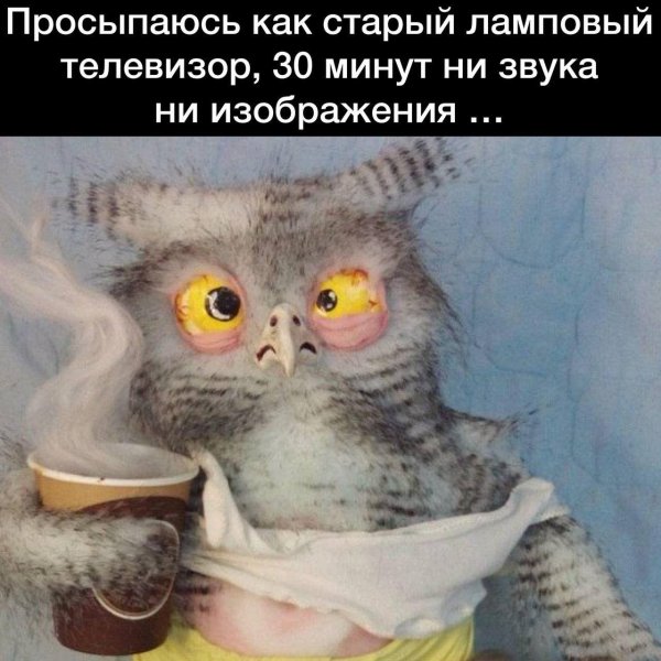 утро ты само то хоть выспалось
