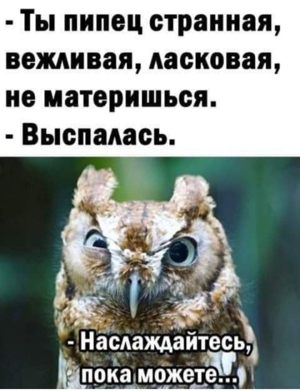 с добрым утром прикол