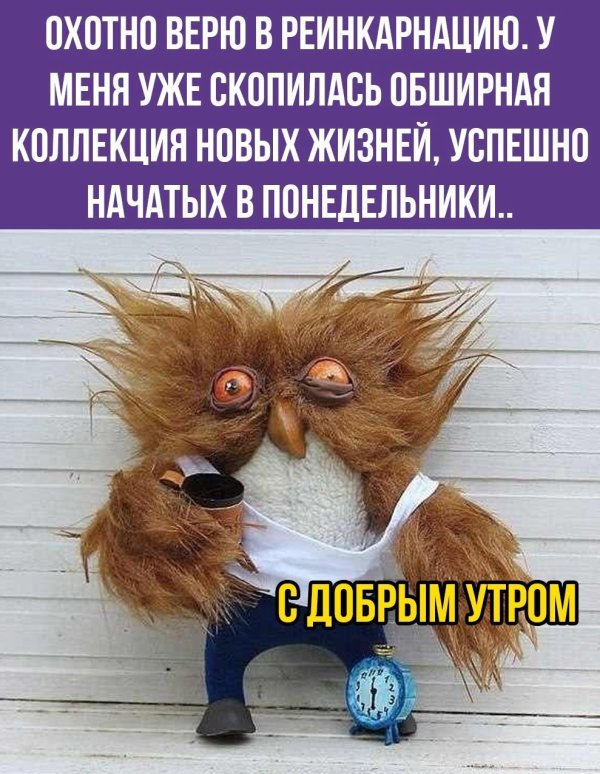 понедельник опять понедельник