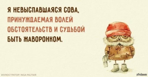 прикольные высказывания