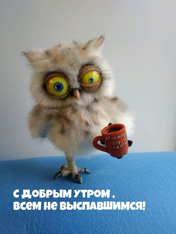 выспались доброе утро