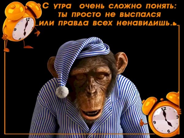 прикольное спокойной ночи