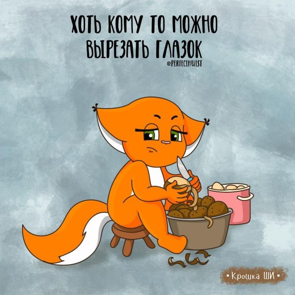 белка ши